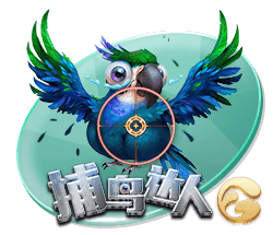 xingkong.app电脑免费版
